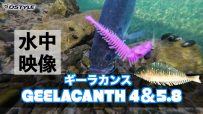 【公式】GEELACANTH(ギーラカンス) 4inch – 5.8inch  水中動画